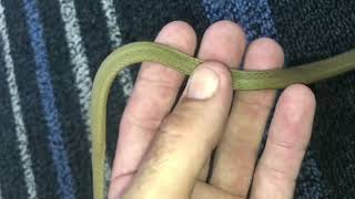 Yellow Faced Whip Snake at Ergon Energy [upl. by Enirehtac]