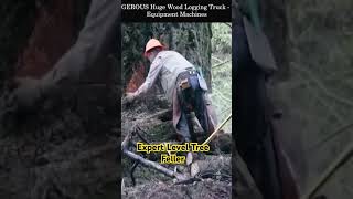 Expert Level Tree Feller youtube youtubeshorts shorts trending logging arborist master [upl. by Kiel]