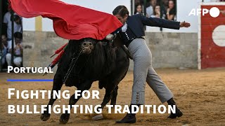 Portuguese fight to preserve bullfighting exception in Barrancos  AFP [upl. by Isej]