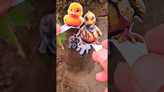 Bury dead animals dead ducks dead butterflies dead cats dead hamsters 😱😭😭 shorts viral [upl. by Sewell]