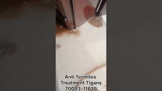 🐜 Anti Termites Treatment [upl. by Heydon147]