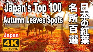 日本の紅葉名所100選 Japans Top 100 Autumn Leaves Spots 紅葉の名所 日本の秋 絶景紅葉 紅葉スポット 全国 Autumn foliage [upl. by Nageam]