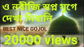 ও নবীজি স্বপ্ন যুগে দেখা দিবানি  O Nobiji Sapne Joge Dekha DeewaniBangla Best Gojol [upl. by Alliehs660]