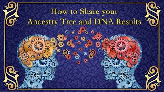 How to Collaborate Ancestry Trees and Ancestry DNA Results [upl. by Kcirddor384]