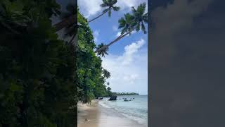 Taveuni ein Paradies auf Erden 🪸🇫🇯 backpacking travelling oceania fiji [upl. by Nalyk]