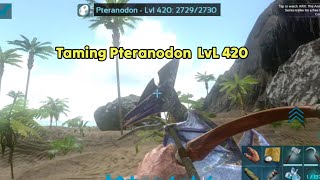 Taming 420 Lvl Pteranodon How to tame Pteranodon Ark Mobile Ark mobile revamp Ep 5 [upl. by Lewiss]