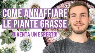 COME ANNAFFIARE LE PIANTE GRASSE  TECNICHE FREQUENZA E CONSIGLI [upl. by Westbrook]