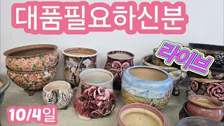 10월4일 토끼네화분 중고대품판매 [upl. by Ashelman]