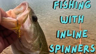 Fishing with Inline Spinners [upl. by Macmillan]