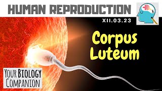 XII0323 – Corpus Luteum  NEETAIIMS  ExamForU [upl. by Laup]