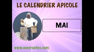 Calendrier Apicole  MAI [upl. by Moulton]