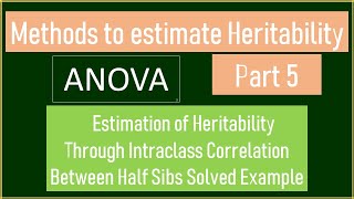 Estimation of Heritability Part 5  Intraclass Correlation Between Half Sibs  ANOVA [upl. by Jaddan]