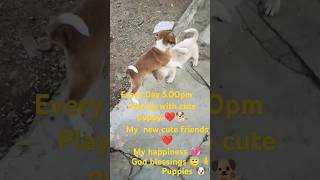 Valuable time with puppy ❤️🐕🐶puppyloveforever truefriendship friendshippuppymothers trending [upl. by Freudberg697]