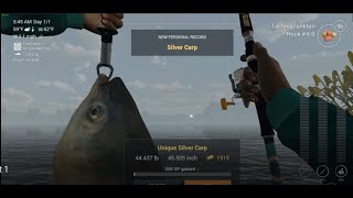 Fishing Planet  How To Catch BigheadSilver Carp at Sander Baggersee [upl. by Jodee]