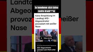 Kindergartenkoksnasennazi news memes satire [upl. by Osborne]