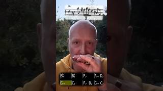 Learning jazz on the diatonic harmonica part 11 melody of F blues second position of Bb harmonica [upl. by Onimixam356]