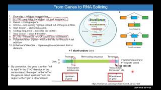 Module 7 NCBI Ensembl GenomeBrowsers PrimerDesign HSS3109 [upl. by Reinaldo]