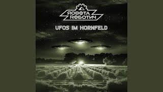 UFOs im Kornfeld [upl. by Esaj370]