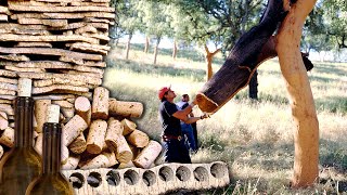 CORCHO natural y su transformación en TAPONES Extracción manual del tronco de los ALCORNOQUES [upl. by Bikales]