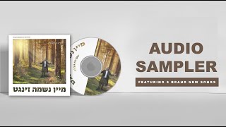 Akiva Gelb  Mein Neshamah Zingt Album Preview Official Audio Sampler [upl. by Akinehs350]