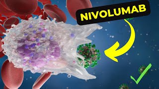 Unveiling the Power of Nivolumab How It Works Uses and Potential Side Effects [upl. by Annoj]