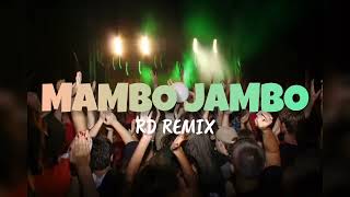 MAMBO JAMBO  RD REMIX  FVNKY BREAKS 2024 [upl. by Marthe270]