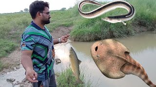 fishing karne ka aasan tarika machhali pakdane ka tarika kar kundi ke sath machhali [upl. by Lamag]