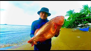 MY BIGGEST CORAL TROUT with Joy Adventures and Seassid JOYADVENTURESspearfishingPH seassid [upl. by Frantz]