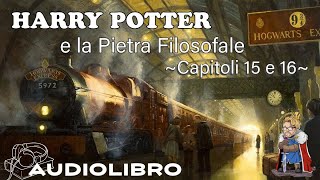 Harry Potter e la pietra filosofale  Audiolibro  Lettura e commento Cap 15  16 [upl. by Libbie]