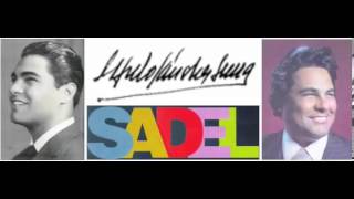 ALFREDO SADEL Por ti aprendí a querer [upl. by Pelpel99]