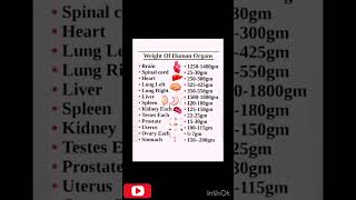 Weight of human organs humanbody [upl. by Nsaj]