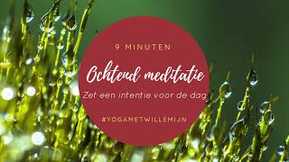 Ochtend meditatie  Zet een intentie voor de dag  Yoga met Willemijn [upl. by Aloisia]