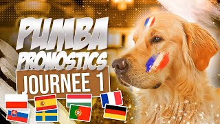 MON CHIEN PRONOSTIQUE LE PREMIER MATCH DE LA FRANCE EURO2020 troisième session [upl. by Belding178]