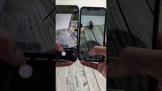 iPhone 11 VS iPhone 15 Pro Max  Camera Zoom Comparison [upl. by Niwroc322]