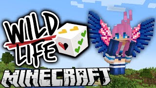 Surprise 🎲  Ep 1  Wild Life [upl. by Noelle]