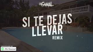 Ozuna amp Juanka  Si Te Dejas Llevar Remix  DJ Gamal [upl. by Ueihtam]