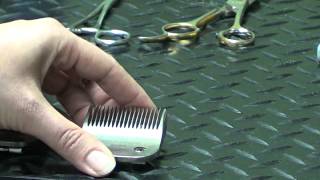 Pet Grooming Hand Tools for the DoItYourself Dog Groomer [upl. by Pompea]