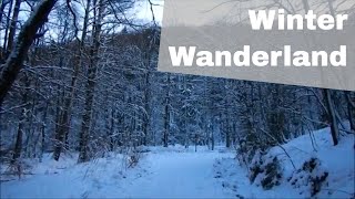 4 Tage Winter Wanderung im Harz  Wandertour 2 [upl. by Htebazileharas]