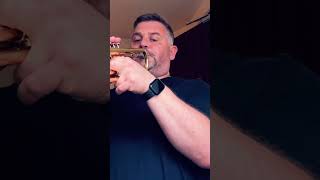 The amazing new Yamaha Bergeron Trumpet trumpet trumpetmusic trumpetersstuff trumpets [upl. by Mcevoy792]