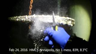 HMCS Annapolis Feb 24 2016 Life and Electrolysis study [upl. by Akinimod]