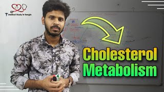 Cholesterol synthesis in bangla Cholesterol Metabolism [upl. by Burk]