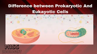 Difference between Prokaryotes and Eukaryotesclass 9thprokaryotic and eukaryotic cellsurduhindi [upl. by Dnomaj]