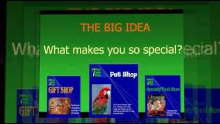 Pet Store Business Plan [upl. by Aneeuqahs]