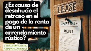 quot¿Es causa de desahucio el retraso en el pago de la renta de un arrendamiento rústicoquot renta [upl. by Annahsirhc33]