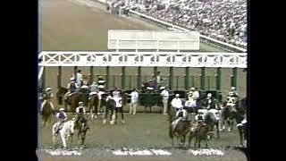 1995 Gulfstream Park CIGAR Jerry Bailey The Donn Handicap 180000 [upl. by Nanaek]