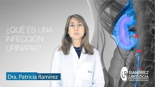 Tipos de Infecciones Urinarias [upl. by Duax817]