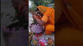 Jitiya puja 🙏🙏❤🌹jitiya vrat puja shortvideo jitiyamaiyakikatha yutubeshorts viralvideo [upl. by Elwaine]