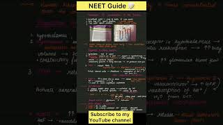 Class 11 Excretory product amp their elimination notes NEET NCERT zoology NEET guide [upl. by Alecia]