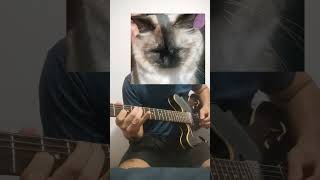 Soulshine  Allman Brothers Band guitar allmanbrothers cat guitarcover [upl. by Ynohtnacram885]