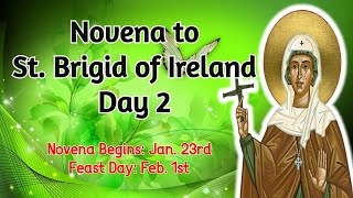 NOVENA TO ST BRIGID OF IRELAND  DAY 2 4K VIDEO [upl. by Thevenot855]